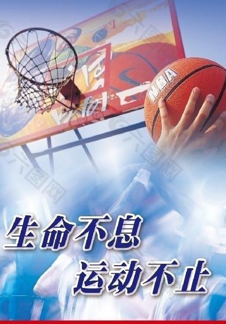 样可观