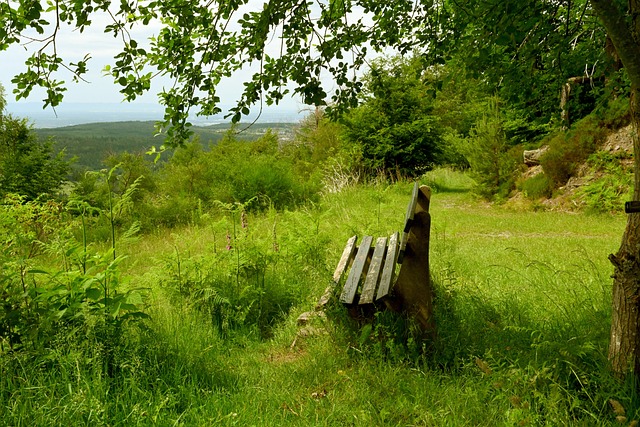 冒着受伤风 冒着受伤风