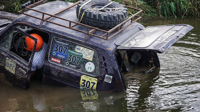 推向了极致 推向了极致