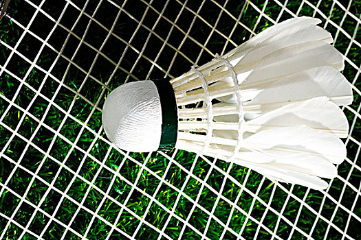 理是否过轻 理是否过轻