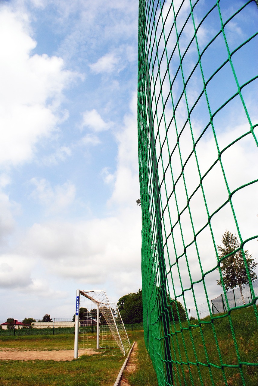 这一结果对 这一结果对