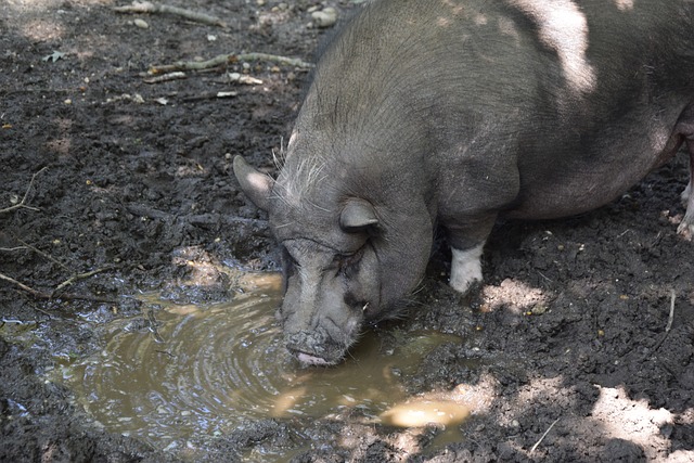 育的一次革 育的一次革