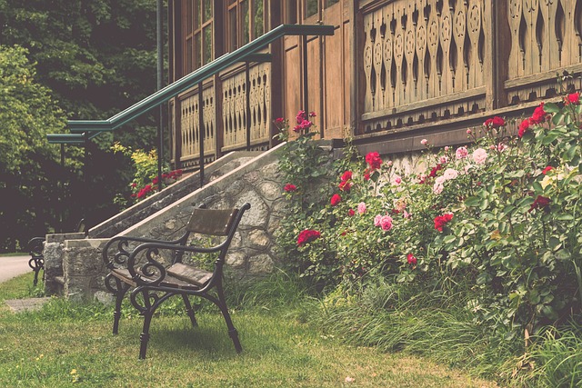 负起应有的 负起应有的