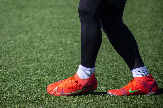 揮了關鍵作 揮了關鍵作